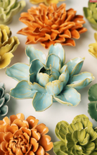 Load image into Gallery viewer, Blue Aurora Water Lily