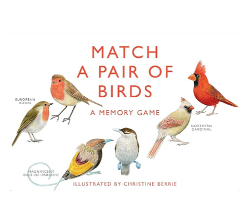 Match Pair of Birds Game