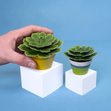 Load image into Gallery viewer, Succulent Make Your Own Plant
