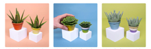 Load image into Gallery viewer, Make Your Own Plant Mindful Gardener
