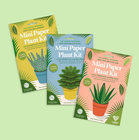 Clockwork Soldier Paper Plant Kits