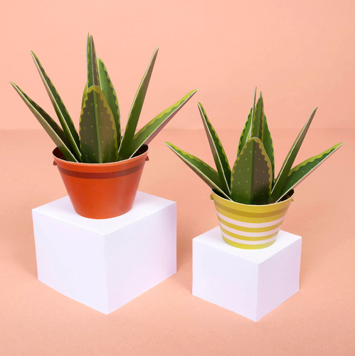 Clockwork Soldier Paper Plant Kits