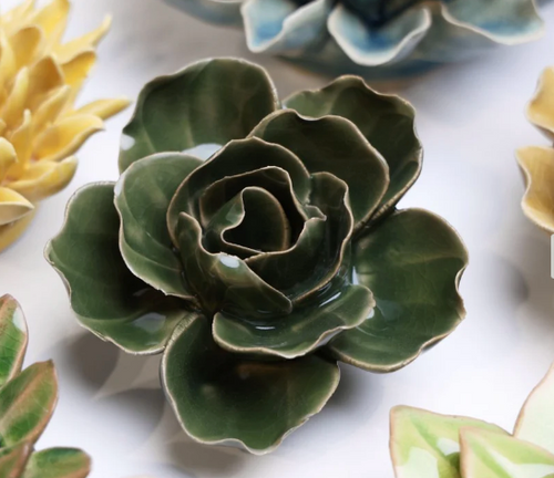 Fir Green Butterfly Ranunculus