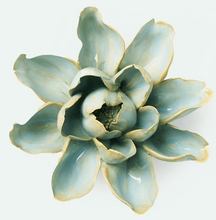 Load image into Gallery viewer, Blue Aurora Water Lily
