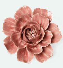 Load image into Gallery viewer, Champagne Pink Rose
