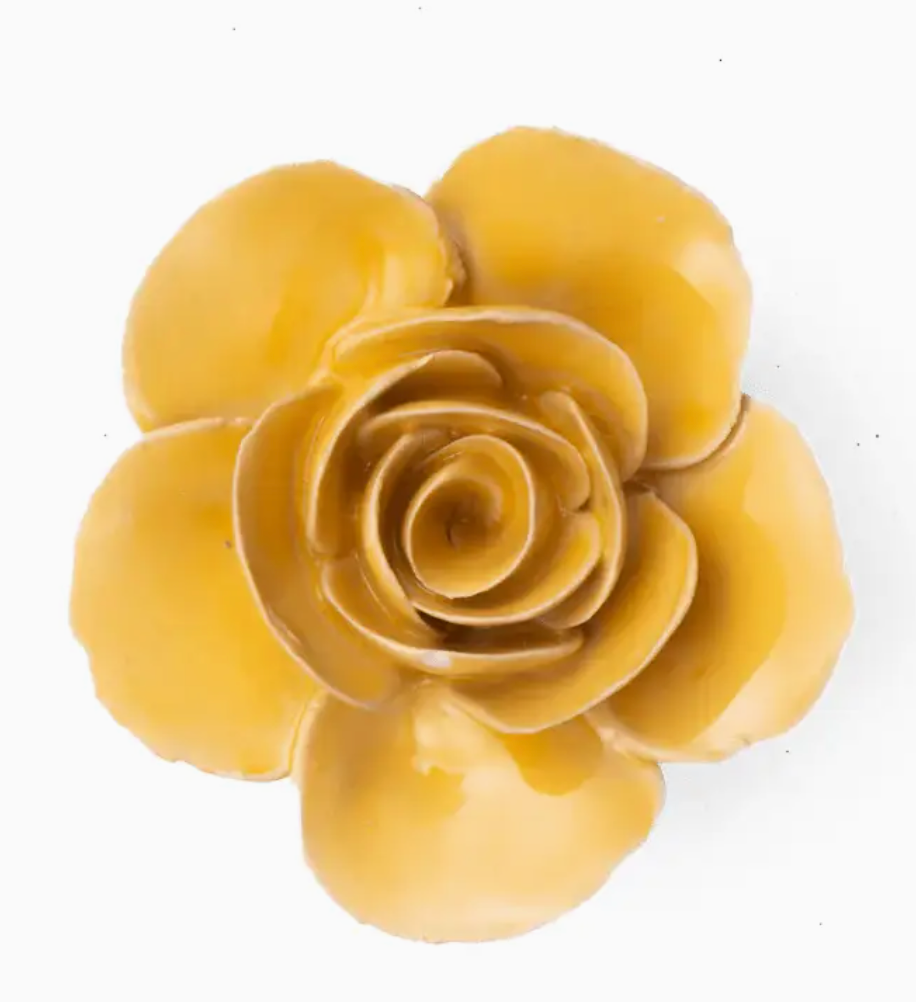 Buttercup Yellow Elegance Ranunculus
