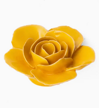 Load image into Gallery viewer, Buttercup Yellow Elegance Ranunculus
