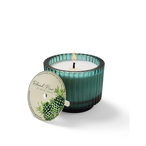 Roland Pine Ribbed Glass 6oz Candle