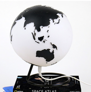 Globe Novelty Lamp