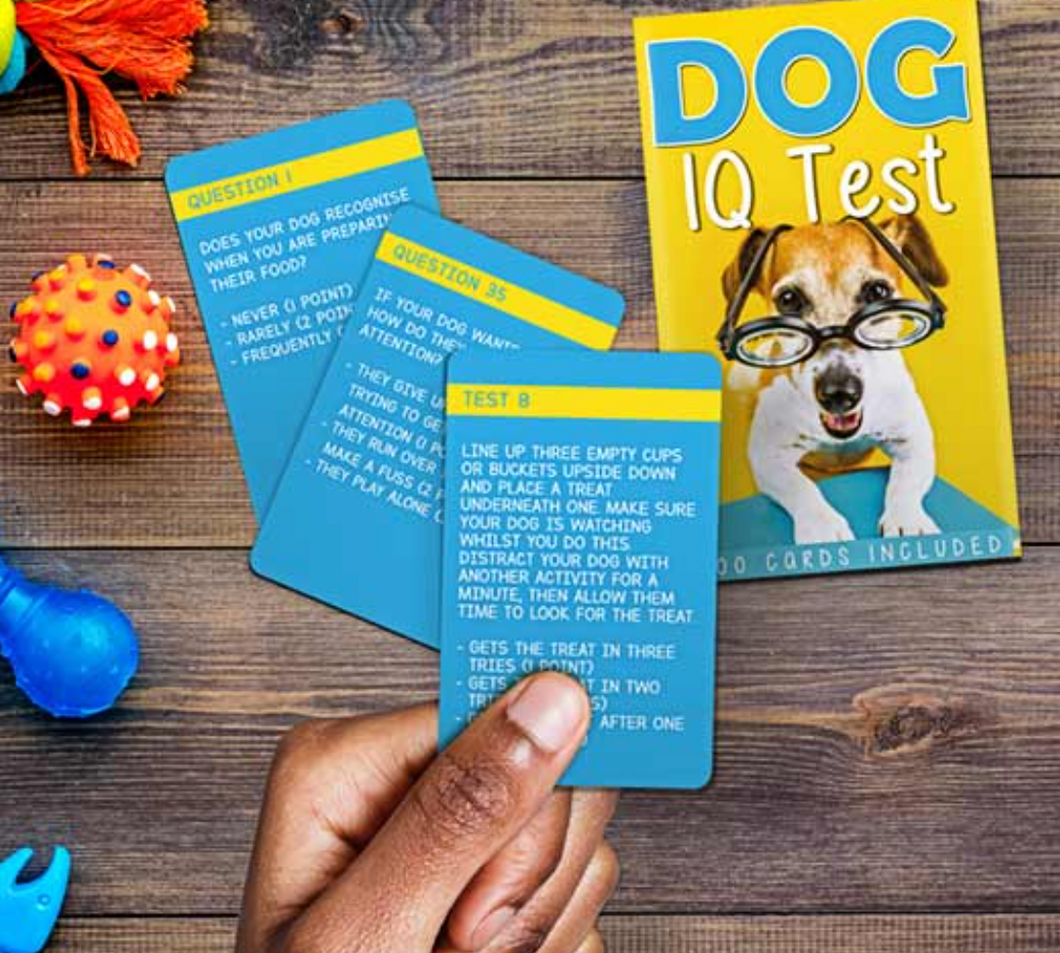 Dog IQ Test
