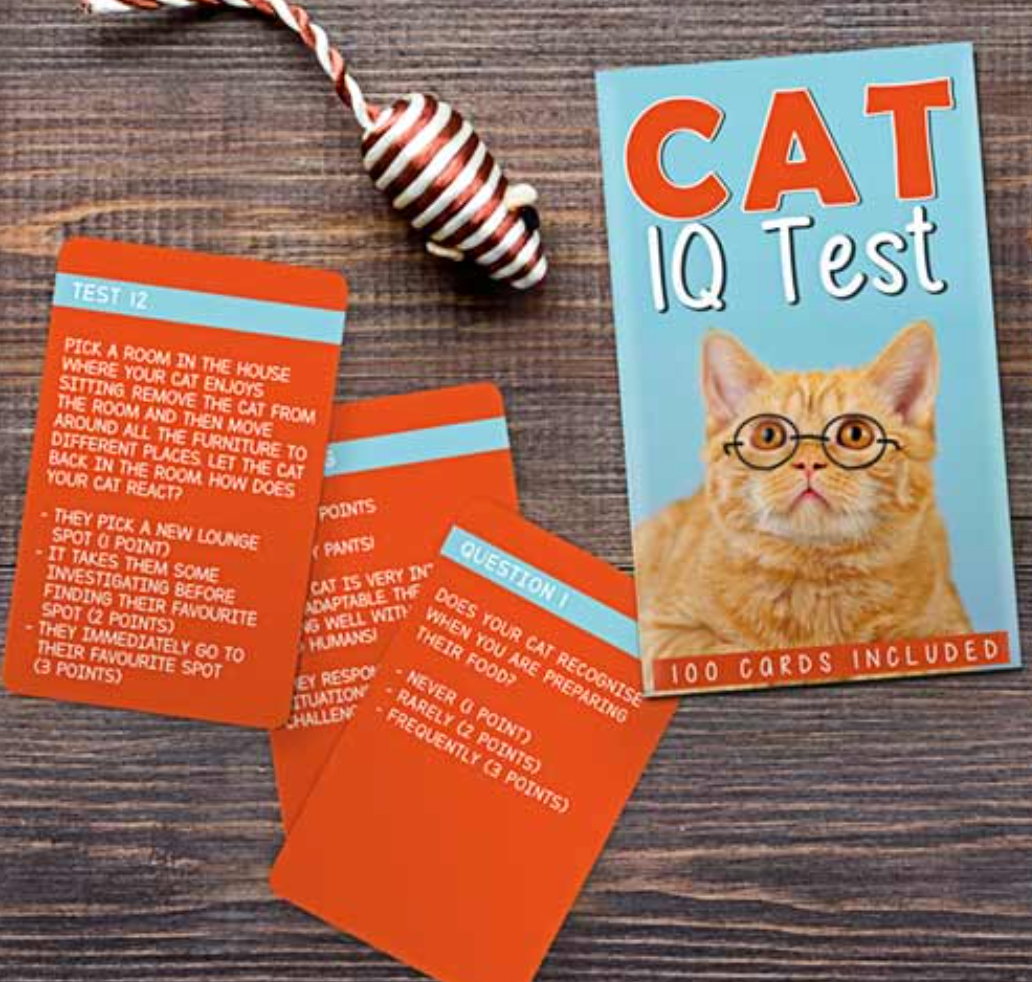 Cat IQ Test