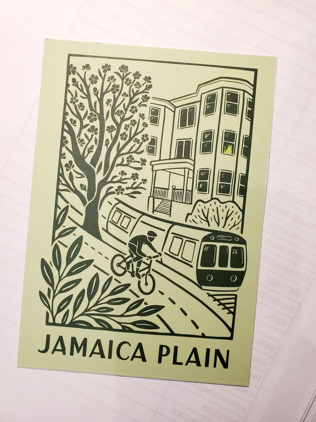 OC JP 4X6 Postcards Light Green Scene