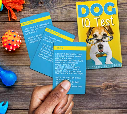 Dog IQ Test Trivia