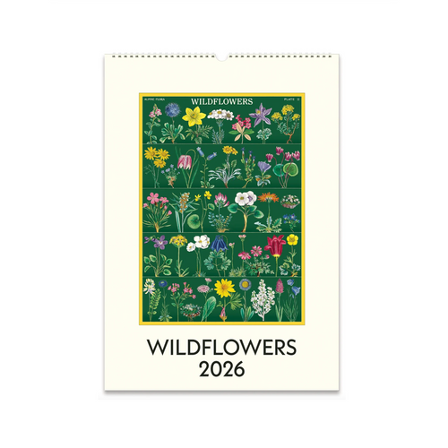 2026 Wall Calendar - Wildflowers