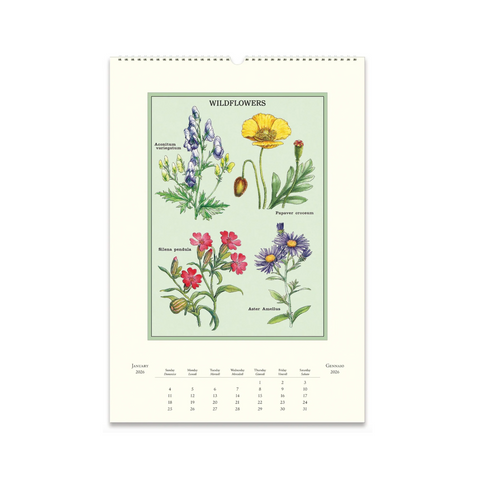 2026 Wall Calendar - Wildflowers