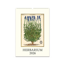 Load image into Gallery viewer, 2026 Wall Calendar - Herbarium
