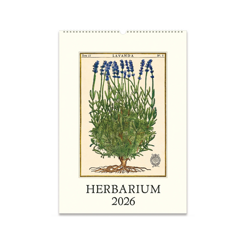 2026 Wall Calendar - Herbarium