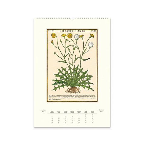 2026 Wall Calendar - Herbarium