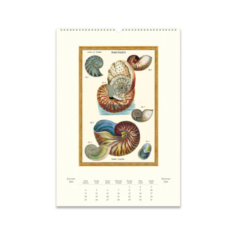 2026 Wall Calendar - Sea Life