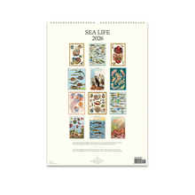 Load image into Gallery viewer, 2026 Wall Calendar - Sea Life
