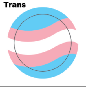 Transgender Flag Button