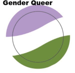Genderqueer Flag Button