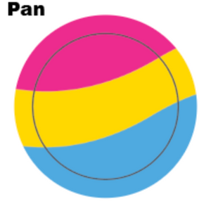 Pansexual Flag Button