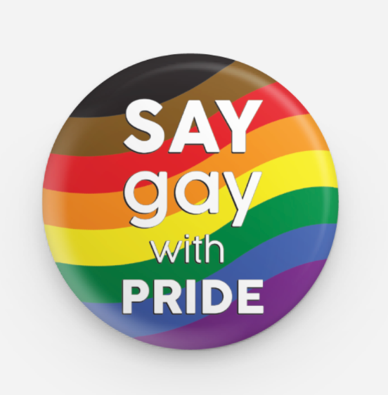 Say Gay With Pride Button Pin