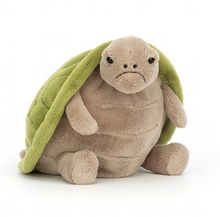 Load image into Gallery viewer, Timmy Turtle Stuffie
